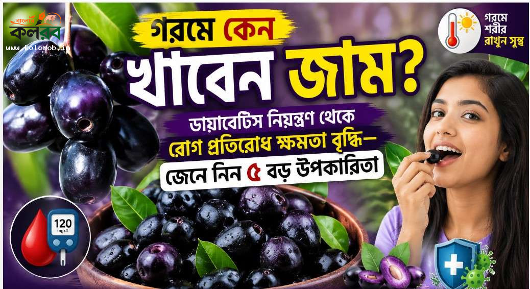 গরমে কেন খাবেন জাম? ডায়াবেটিস নিয়ন্ত্রণ থেকে রোগ প্রতিরোধ ক্ষমতা বৃদ্ধি—জেনে নিন ৫ বড় উপকারিতা